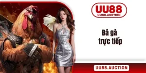 Đá gà trực tiếp