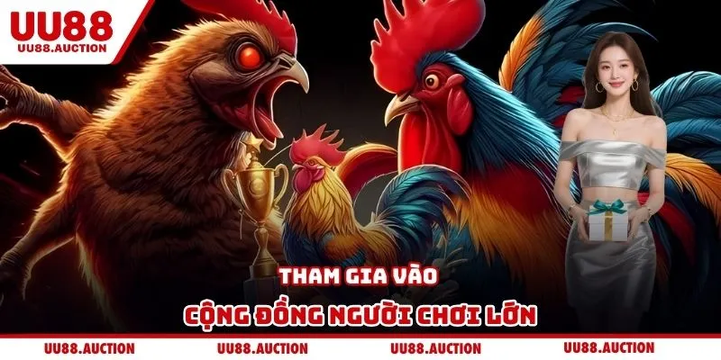 Tham gia vào cộng đồng người chơi lớn