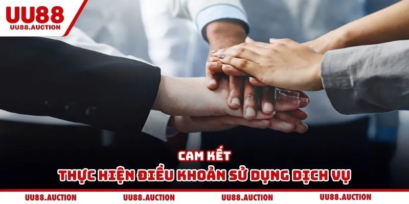 Cam kết thực hiện điều khoản sử dụng dịch vụ