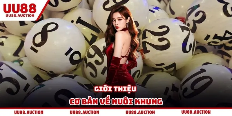Giới thiệu cơ bản về nuôi khung