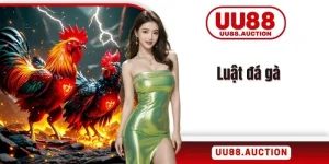 Luật đá gà
