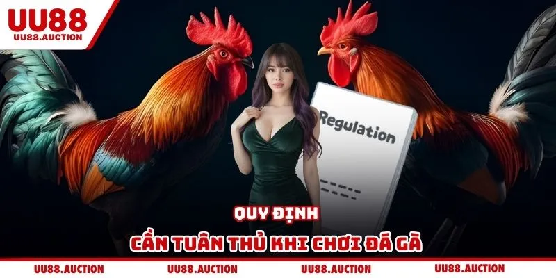 Quy định cần tuân thủ khi chơi đá gà 
