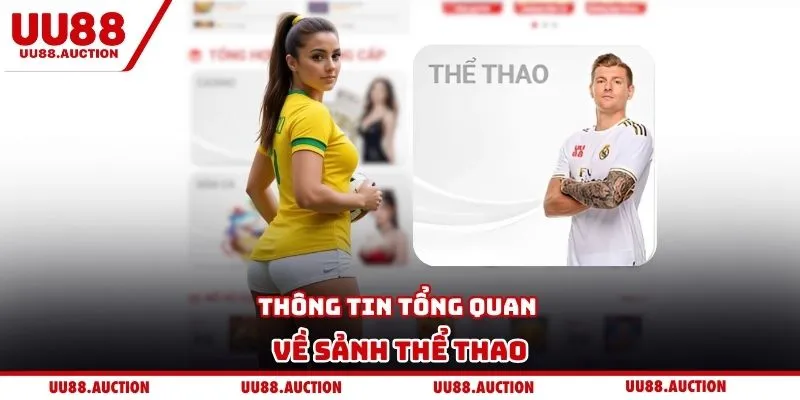 Thông tin tổng quan về sảnh thể thao