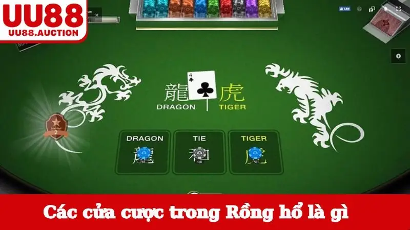 Các cửa cược trong Rồng hổ là gì