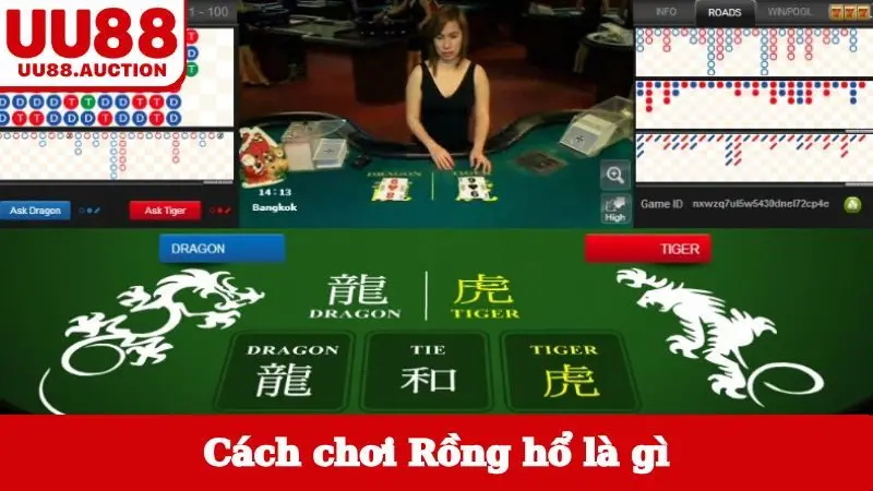 Cách chơi Rồng hổ là gì