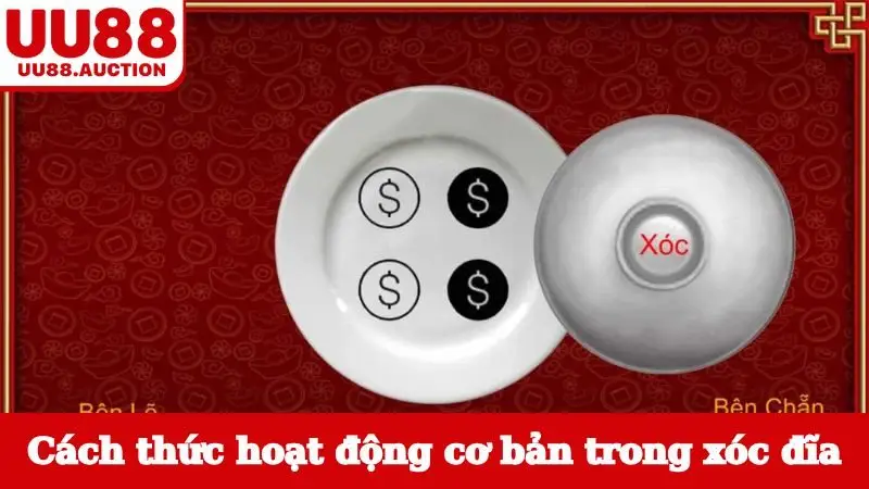 Cách thức hoạt động cơ bản trong xóc đĩa