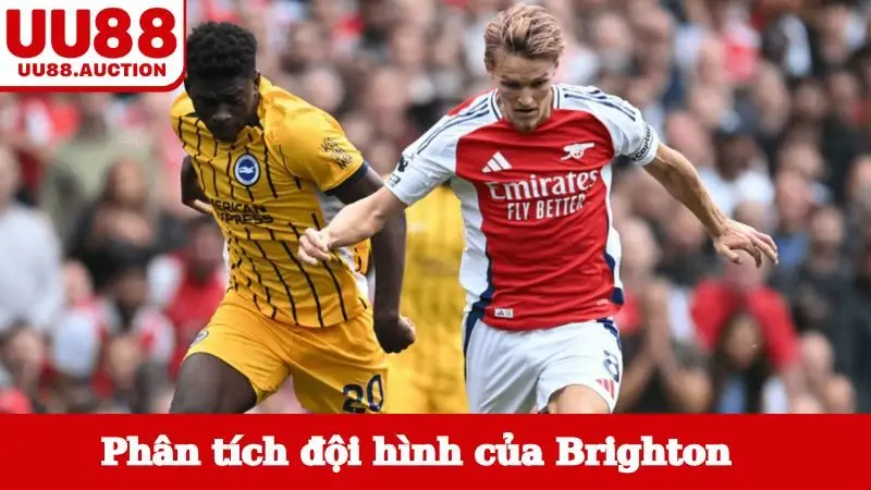 Phân tích đội hình của Brighton