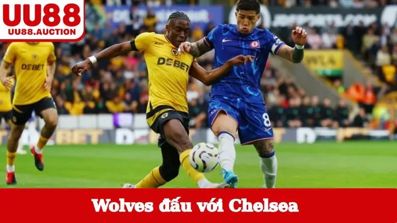 wolves đấu với chelsea
